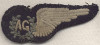 Rare WWII RAAF (Royal Australian Air Force) Air Gunner Wing