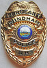 Beautiful 1990's - 00's Windham, New Hampshire Police Sergeant Badge