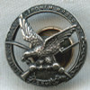 Circa 1910s Polish Falcons Lapel Badge (ZSPwA)