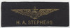 WW II USN Pilot Name/Wing Strip
