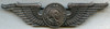 Nice WWII CAA Civil Aeronautics Administration WTS War Training Service Instructor Wing Indian Head