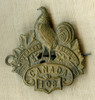 Variation of WWI 108th CEF BN Selkirk, Manitoba Hat Badge with Original Cotter Pin