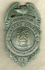 Great Old 1910s Nassau County NY Extermination Commission (Mosquito) Inspector Badge #23
