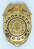 Beautiful Old Ca 1910's - 1920's Hooksett, New Hampshire Fire Department Honorary Member Badge