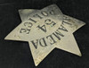 Great Old Ca 1900 Alameda CA Police 6pt Star Badge #54