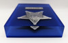 Wonderful United State Secret Service Officer Issued #'d 999 Silver Commemorative Badge in Lucite