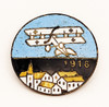 Wonderful WWI Austrian Aviation Enameled 1916 Patriotic Badge/Pin