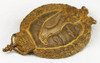 Iconic WWI M1915 Imperial Prussian Navy Aerial Observer Badge in Gilt Bronze by Schaper