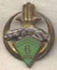 1945 French Algerian 6th Rifle Regiment Badge/Insigne 6¡ Rgiment de Tirailleurs Algriens