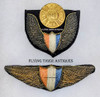 Extremely Rare 1920’s Pilot Wing & Hat Badge of the Aviation Division, New York City Police Department Reserves