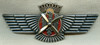 Rare WWII Spanish Nationalist Air Force Pilot Wing in Silver by Rokiski