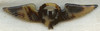 Wonderful WWII Dutch East Indies Air Force Observer Wing Full Size Made of Tortoise Shell