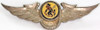 Unofficial Winged Squadron Badge Worn by Members of the USAAF 463rd Service Squadron
