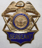 1980's - 90's US Dept. of Defense Police Sergeant Hat Badge as worn at Portsmouth Navy Yard
