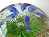 Fabulous 1950s-1960s Murano Glass Globe with Dolphins, Fish, Plants & Bubbles