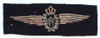 Rare Circa 1945 Belgian-Made RAF (Royal Air Force) Wing