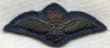 Rare Early WWII RAF Pilot Mess Dress Bullion Wing Also Worn by Foreign Nationals