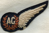 WWII Royal Air Force Air Gunner Wing Padded for Dress Uniform