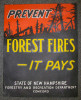 Great 1920s-1930s New Hampshire Dept. of Forestry Forest Fire Prevention Poster