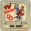 Cool Vintage 1967 TV SQUARES Square Dancing Television Show Contestant Badge