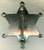 1930's Colorado State Child & Animal Protection Officer 6-Point Star Badge