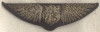 WWI US Air Service Pilot Bullion Pin-back Wing