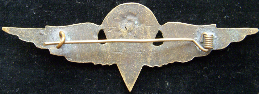 Great Variant WWII Chinese Commando Wing as Worn by OSS Operatives