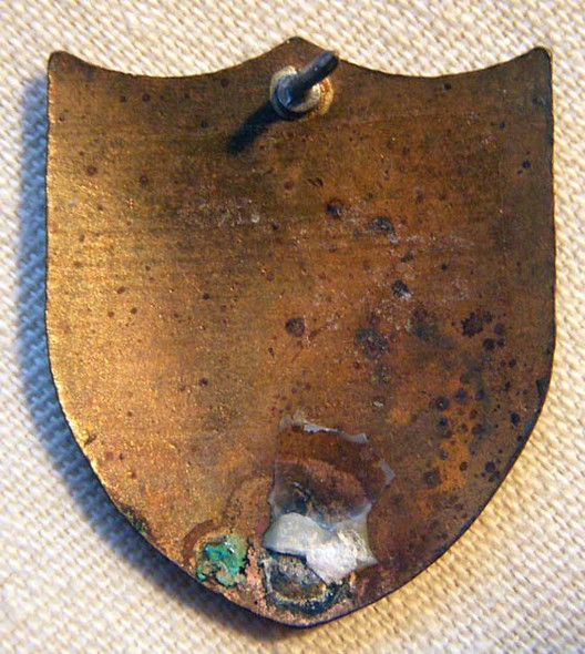 US Army 172nd Infantry Regiment DI