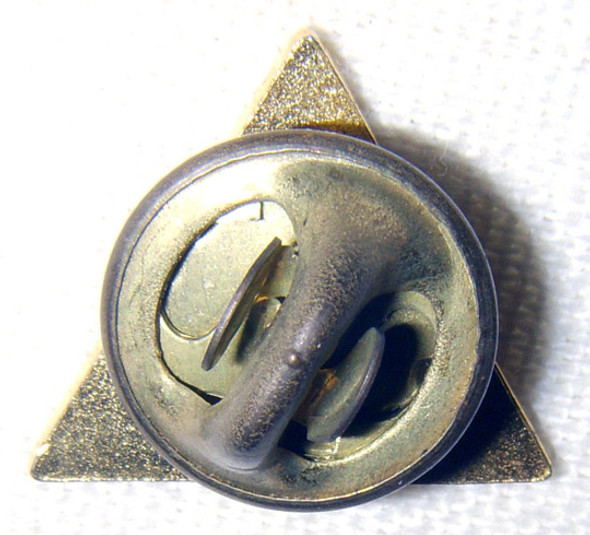 BEING RESEARCHED - Unidentified Triangle Pin Numbered 608 - NOT FOR SALE UNTIL IDENTIFIED