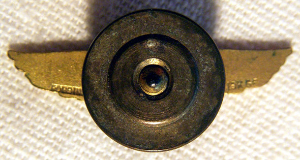 BEING RESEARCHED - "NAC" Lapel Wing  by Robbins Co. - NOT FOR SALE UNTIL IDed