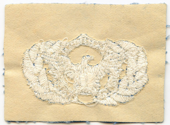 Asian-Made 1970s USAF Security Police Service Badge