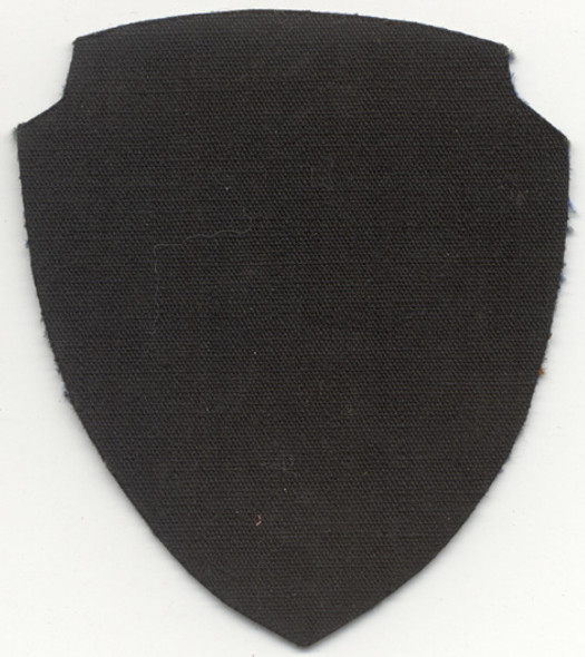 WWII US 9th Air Force Printed Shoulder Patch