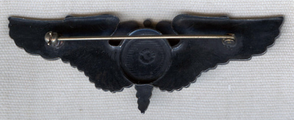 Beautiful USAAF Type II Flight Surgeon Wing by Orber