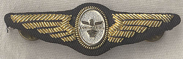 Beautiful Ca. 1961-65 Continental Hostess Wing for Winter Wear