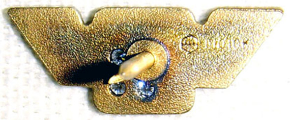 1980s Braniff Inc. Airlines 15 Years of Service Lapel Pin