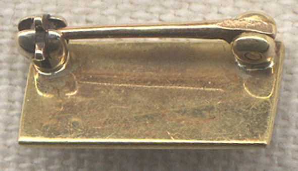 WWI 10 Karat Gold Son-In-Service Pin
