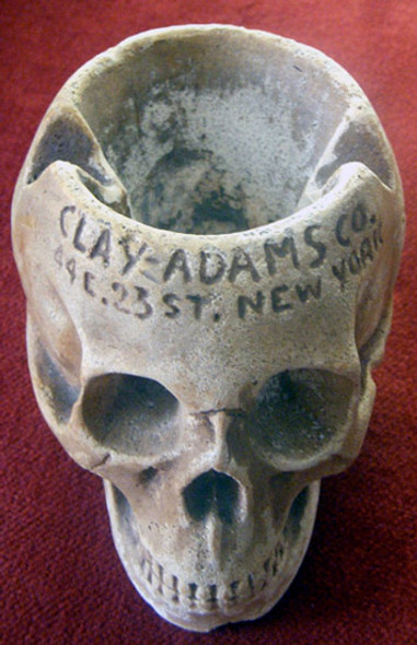 1910s Skull Advertising Ashtray Clay-Adams Co.  of NYC, Skeleton, Skull & Medical Supplier