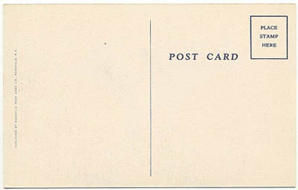 Great WWII Womens Army Corps (WAC) Postcard