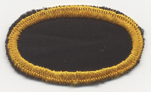 Scarce US Army 541st Parachute Infantry Regiment Oval