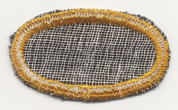 Scarce US Army 541st Parachute Infantry Regiment Oval