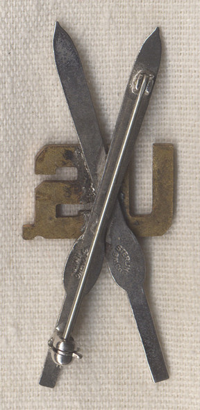 Large WWII US Army 10th Mountain Division US & Crossed Skis Pin