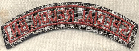 OSS Special Recon Battalion Flash