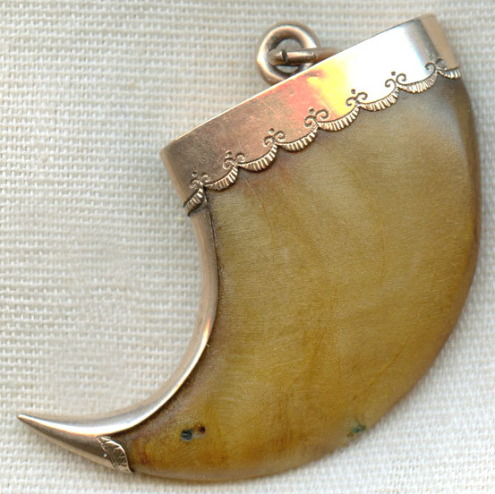Rare 1800s 10K Gold Mounted Tiger Claw