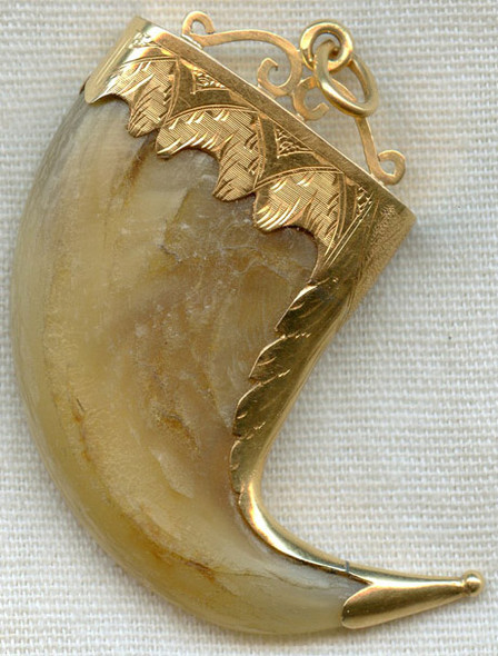 Rare 1800s 14K Gold Mounted Large Lion Claw with Hallmarks