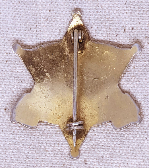 Scarce Ca 1960 Arizona Game And Fish Dept Warden Badge #307