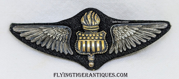 Iconic & Extremely Rare USAS Fighting Observer Wing by Dan S Dunham of San Antonio ca 1918
