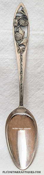 Wonderful ca 1910 Yellowstone Park Sterling Teaspoon by Charles M. Robbins Co