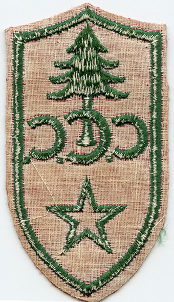 1930's Civilian Conservation Corps Field Leader Rate Patch. Green on Red