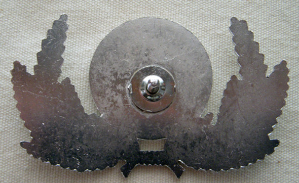 Early 1980s Republic Airlines Pilot Hat Badge