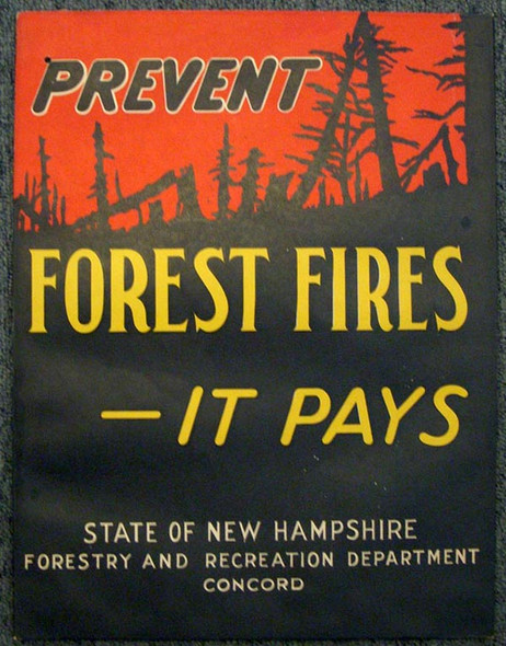 1920s - 1930s New Hampshire Dept. of Forestry Forest Fire Prevention Poster by Jutex Water-Resistant